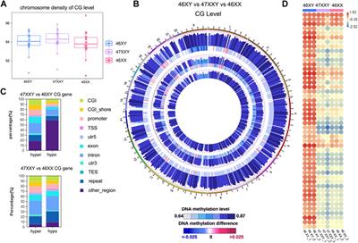 Integrative epigenome profiling of 47XXY provides insights into whole genomic DNA hypermethylation and active chromatin accessibility